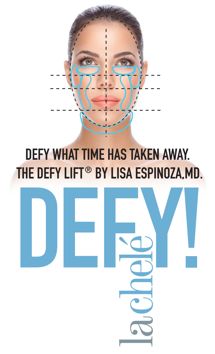 DEFYLIFT_Diagram